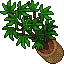 flowers decoration