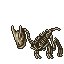 dinosaur skeleton decoration