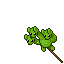 hydra balloon
